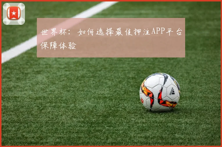 世界杯：如何选择最佳押注APP平台保障体验