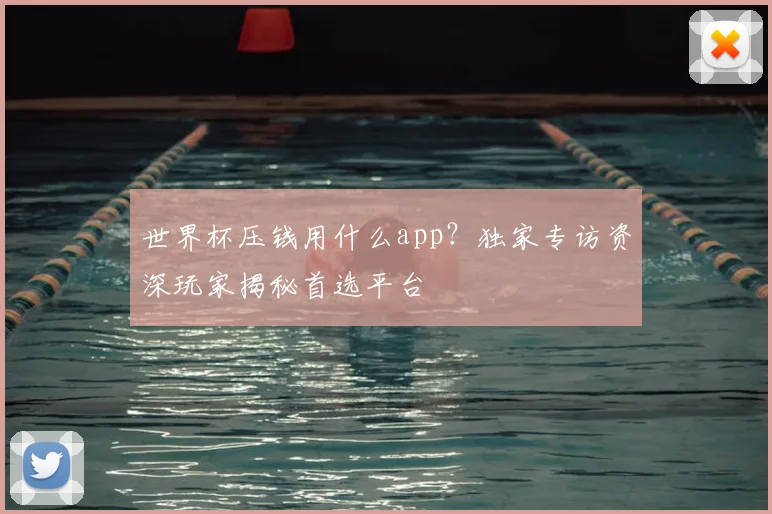 世界杯压钱用什么app?独家专访资深玩家揭秘首选平台