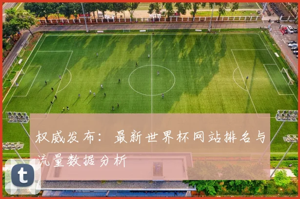 权威发布：最新世界杯网站排名与流量数据分析