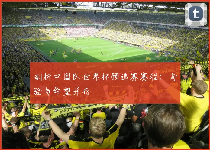 剖析中国队世界杯预选赛赛程：考验与希望并存